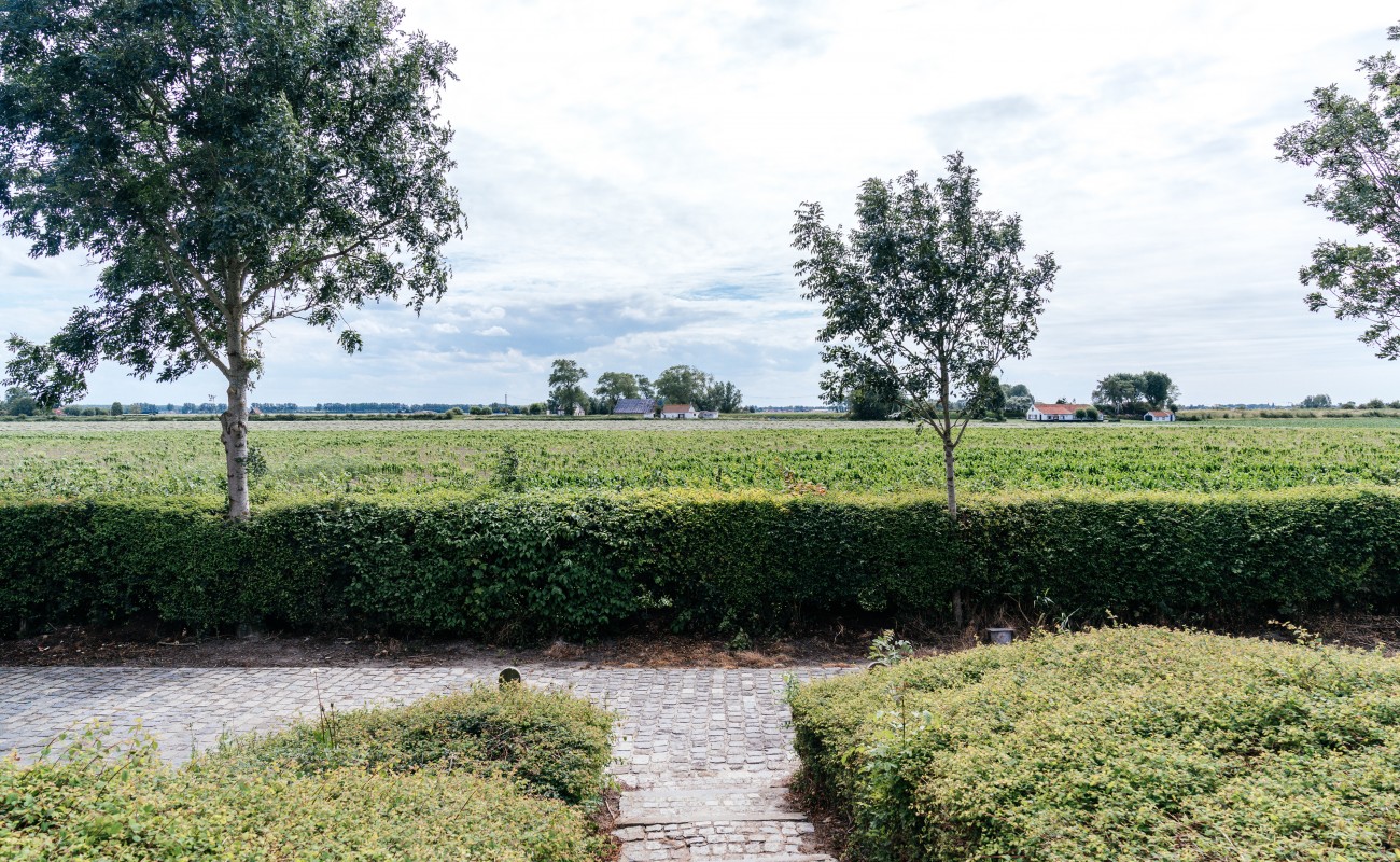 Hazegras vakantievilla - omgeving